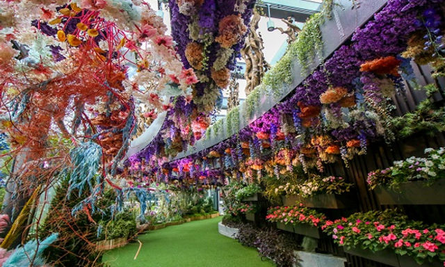Gardens by the Bay: Flower Dome + Cloud Forest + Floral Fantasy